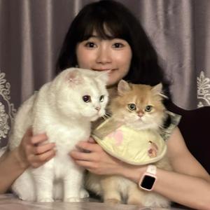 享清福的清头像