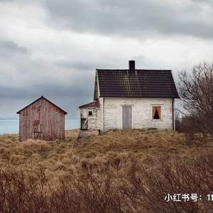 王巍水彩小助理头像