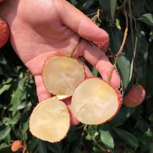 绿盈苗木有限公司头像