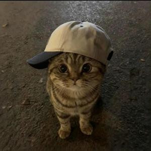 请把我的睡眠还给我头像