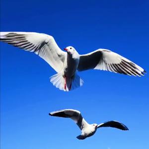 生活百态、世间时事、人间烟火气头像