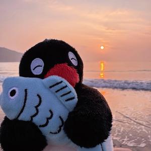摸鱼营业中🎣头像