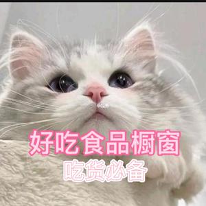 小陈橱窗好物头像