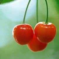 绿水悠悠🌻头像