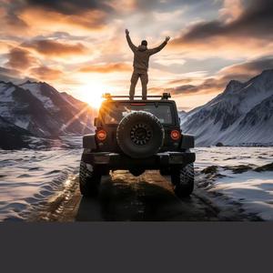 小八哥说人话头像