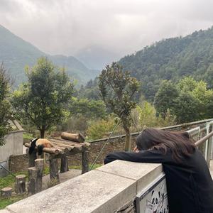 桥豆麻袋柠檬茶头像