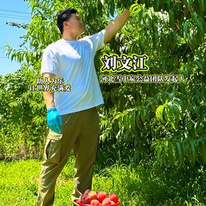 河北刘文江头像