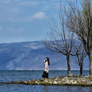 青白江十月花舍头像
