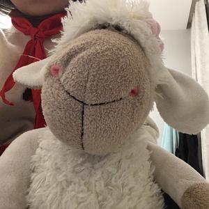 疯狂的绵绵羊头像