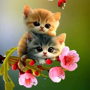 夜的尽头是暖阳头像