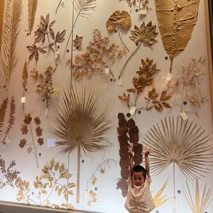 大萌子子乐头像