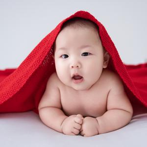 睡懒觉的洋洋头像