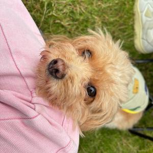 超级漂亮的我头像