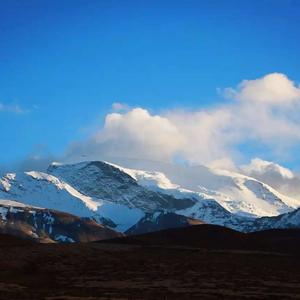 价投小能手头像