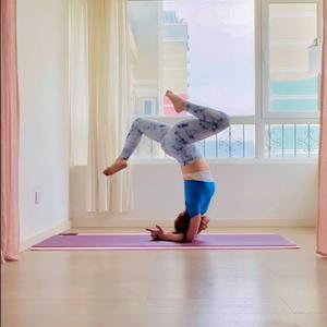 朱莉的后花园头像