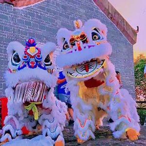 小彬哥广东清远紫雲堂龙狮团头像