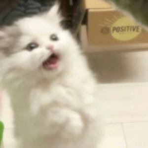 𝘼𝙝𝙪𝙪🫧-头像