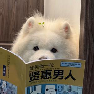 不吃晚饭好酷头像