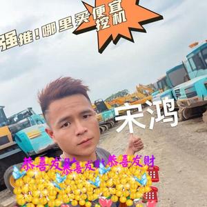 东莞二手挖机贸易；宋鸿头像
