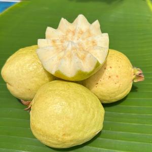 芭芭乐生鲜头像