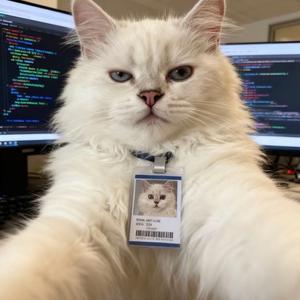 羊仔打工记头像