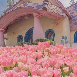 韩小晞的糖罐吖头像