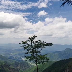 沙雕动画推荐 头像