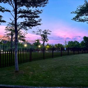 🤪Supreyou🤪头像