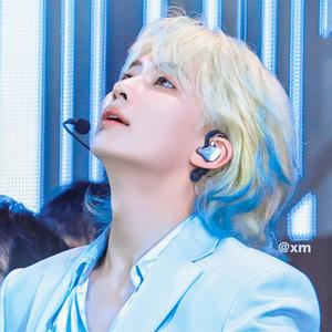 wingwing🪽🪽👾🎸头像