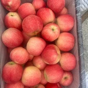 小崔水果代收、全国代发头像