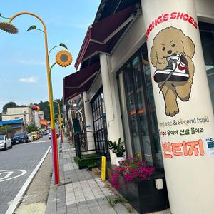 爱乒才会赢🏓️头像