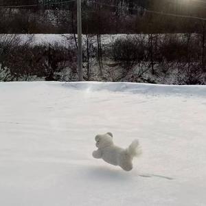 不要愁眉苦脸头像