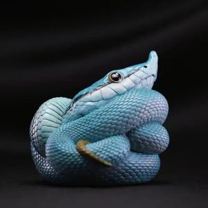 千良爬宠屋头像