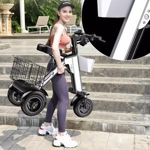 威尔杰迪代步车WLJD头像