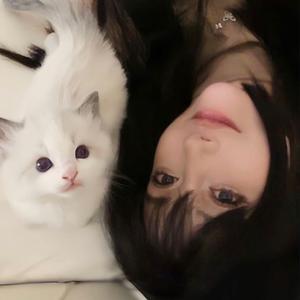 Melody🐨月月🦋头像