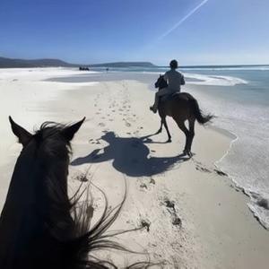 欢乐斗地主【欢乐豆】头像