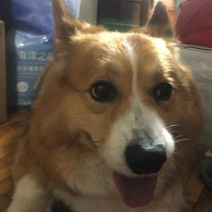 丶暴力大美熊🐻头像