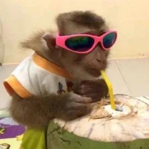 一颗椰子🥥头像