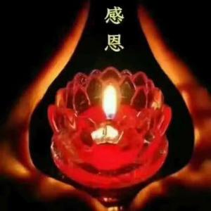 Katrina（拒私聊）头像