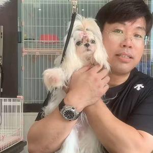 名扬犬业（马尔济斯）头像