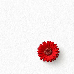 城南以南不再蓝头像