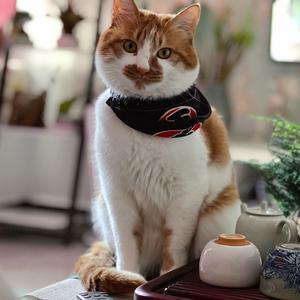 大萌爱喵喵🐱头像
