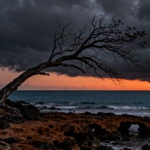 那就这样吧头像