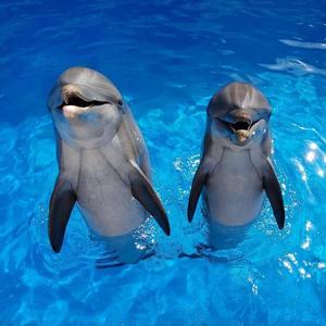 杰尼全球摄影头像