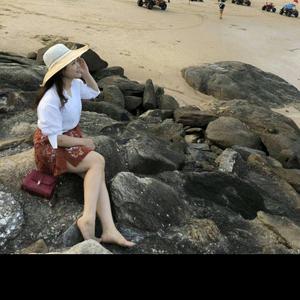 八方来财燕子头像