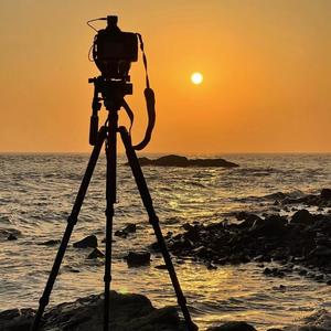 山野随手拍头像