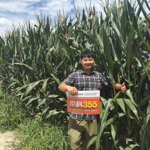 云飞在河南头像