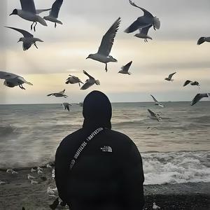 熊猫打篮球头像