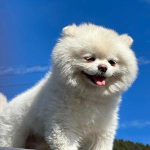 安安子的朋友圈头像