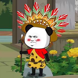 虾仁熊猫 头像